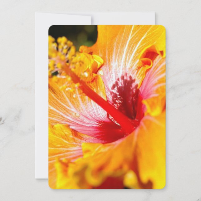 Orange Hibiscus Flower Side View Invitation (Front)