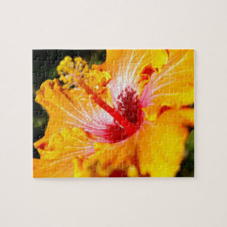 Orange Hibiscus Flower Side View Jigsaw Puzzle