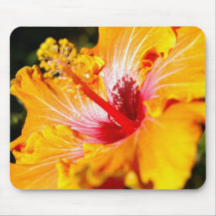 Orange Hibiscus Flower Side View Mouse Mat