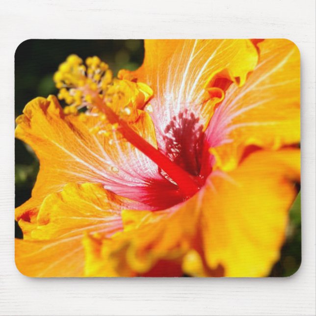 Orange Hibiscus Flower Side View Mouse Mat (Front)