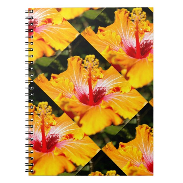 Orange Hibiscus Flower Side View Notebook (Front)