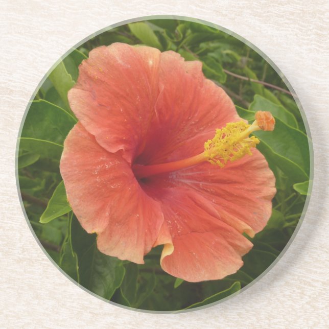 Orange Hibiscus Flower Tropical Floral Coaster (Front)