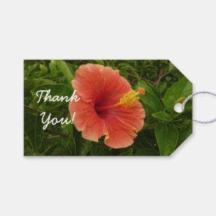 Orange Hibiscus Flower Tropical Floral Gift Tags