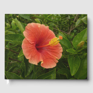 Orange Hibiscus Flower Tropical Floral Guest Book