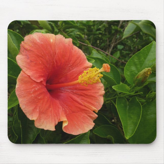 Orange Hibiscus Flower Tropical Floral Mouse Mat (Front)