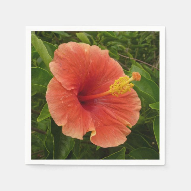 Orange Hibiscus Flower Tropical Floral Napkin (Front)