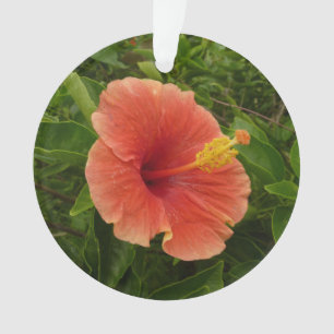 Orange Hibiscus Flower Tropical Floral Ornament