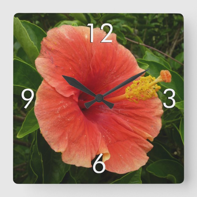 Orange Hibiscus Flower Tropical Floral Square Wall Clock (Front)