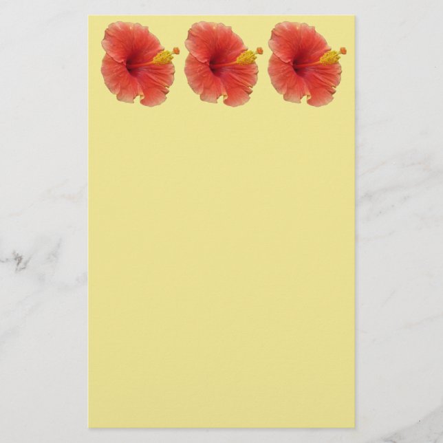 Orange Hibiscus Flower Tropical Floral Stationery (Front)