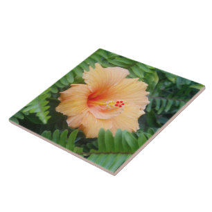 Orange Hibiscus Flower with Ferns Tile