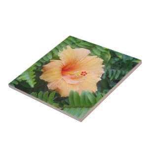 Orange Hibiscus Flower with Ferns Tile