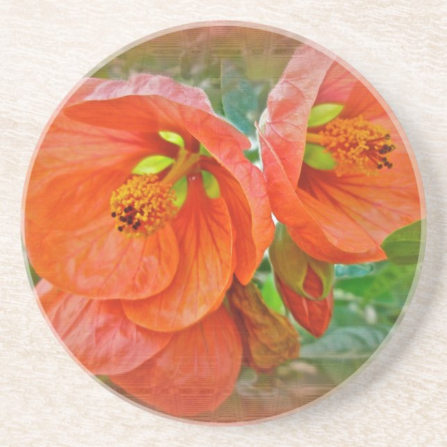 Orange Hibiscus Flowers Coaster (Front)