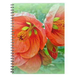 Orange Hibiscus Flowers Notebook