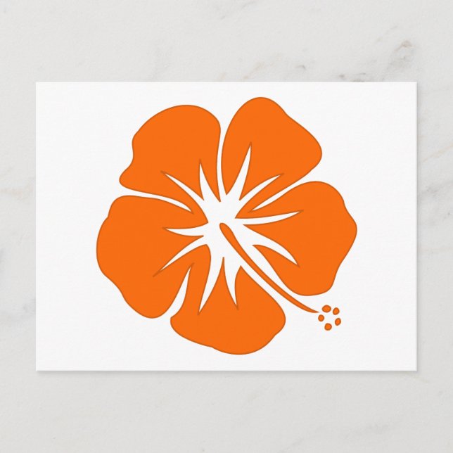 Orange Hibiscus Postcard (Front)