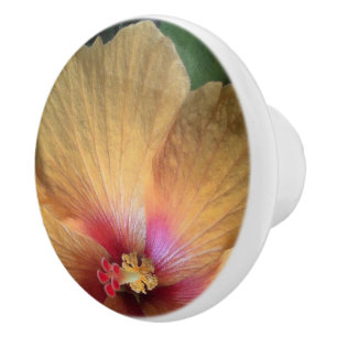 Orange Hibiscus Ruffle Ceramic Knob