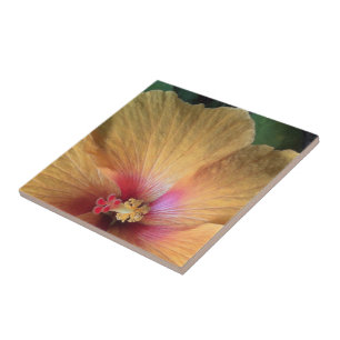 Orange Hibiscus Ruffle Tile