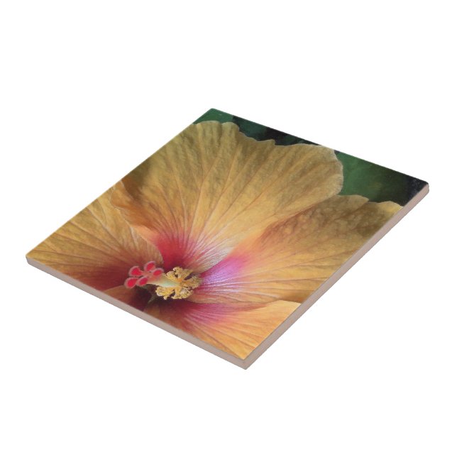 Orange Hibiscus Ruffle Tile (Side)