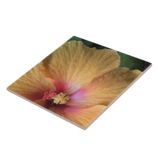 Orange Hibiscus Ruffle Tile