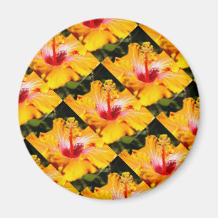 Orange Hibiscus Side View Magnet