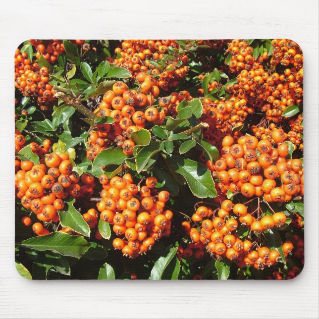 Orange Holly Berries Mouse Mat (Front)