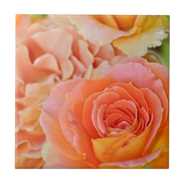 Orange hybrid tea rose tile (Front)