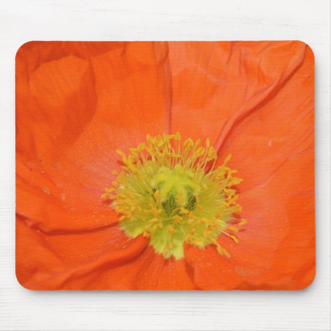 Orange Iceland Poppy III Mouse Mat (Front)
