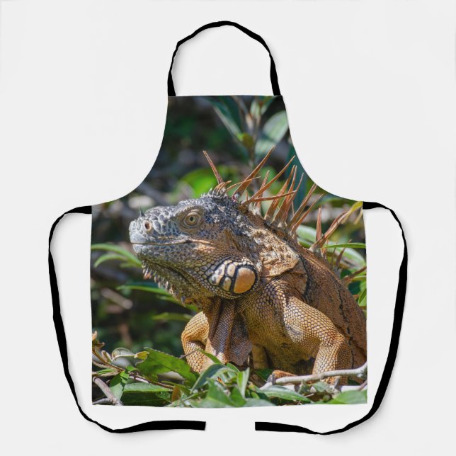 Orange Iguana, Belise Lizard Apron (Front)