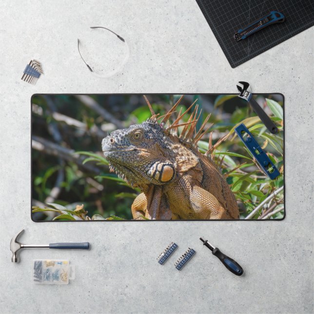 Orange Iguana, Wildlife Lizard Photography Desk Mat (Workstation)