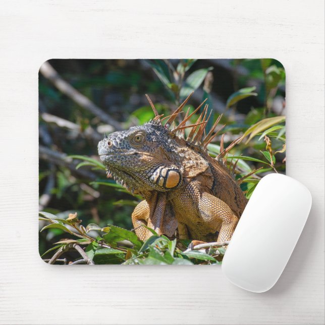 Orange Iguana, Wildlife Lizard Photography Mouse Mat (With Mouse)