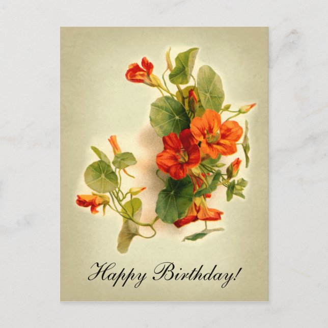 Orange Indian Cress Postcard (Front)