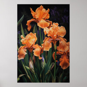Orange Irises Flower Art Print Poster
