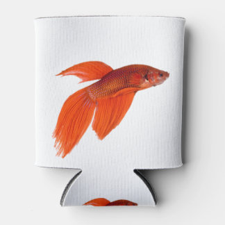 Orange Japanese Fighting Siamese Betta Fish Can Cooler