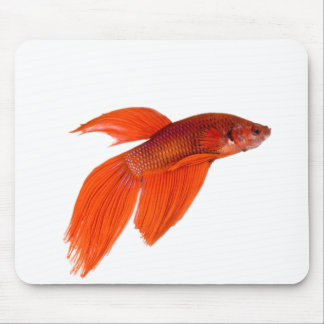 Orange Japanese Fighting Siamese Betta Fish Mouse Mat