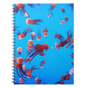 ORANGE JELLY FISH NOTEBOOK