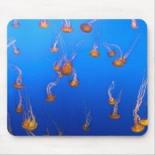 Orange Jellyfish Mouse Pad