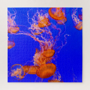 Orange Jellyfish Puzzle Blue Ocean Sea Life