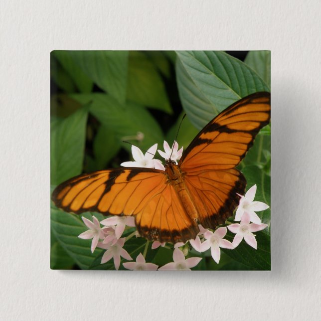 Orange Julia Butterfly Button (Front)