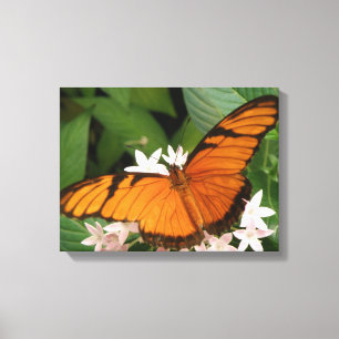 Orange Julia Butterfly Canvas Print