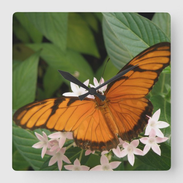 Orange Julia Butterfly Wall Clock (Front)