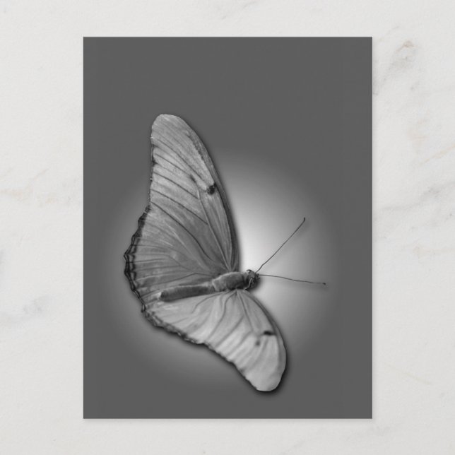 Orange Julia Postcard (Front)