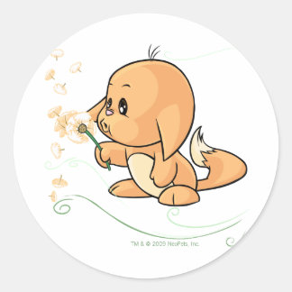 Orange Kacheek wishing on a dandelion Classic Round Sticker