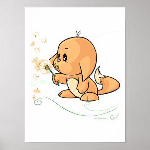 Orange Kacheek wishing on a dandelion Poster