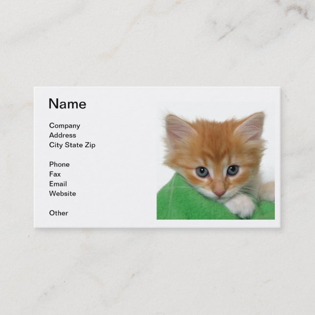Orange Kitten Business Card (Front)