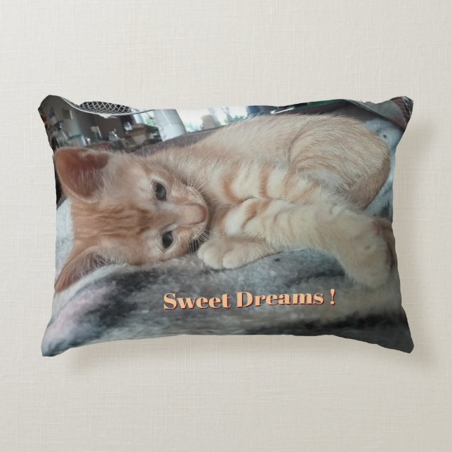 Orange Kitten , Funny Text ,  Photo Customisable   Decorative Cushion (Front)