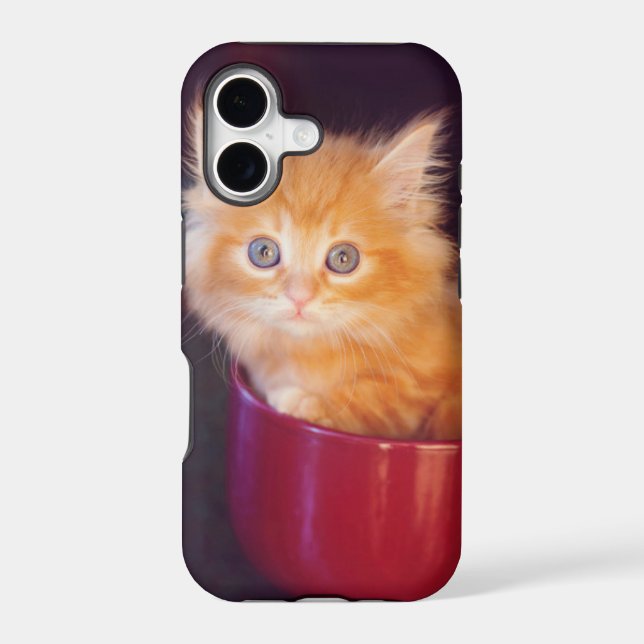 Orange Kitten In A Red Mug (Back)