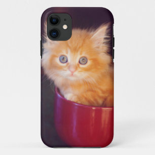 Orange Kitten In A Red Mug iPhone 11 Case