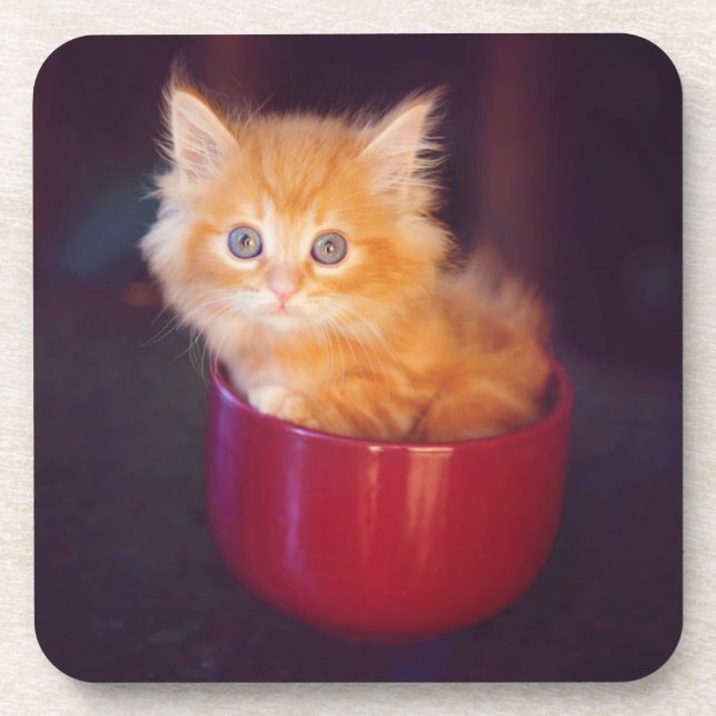 Orange Kitten In A Red Mug Coaster (Front)