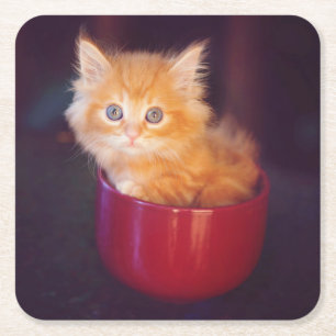 Orange Kitten In A Red Mug Square Paper Coaster