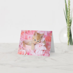 Orange Kitten Loki Pink Floral Blank Notecard