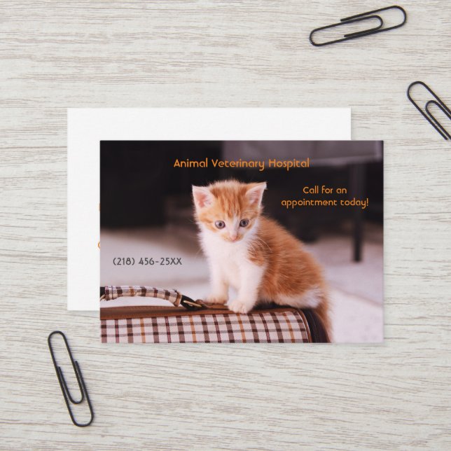 Orange Kitten Pet Care Appointment  Business Card (Front/Back In Situ)
